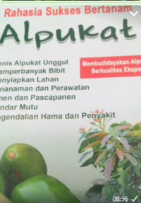 Image of Rahasia Sukses Bertanam Apokat