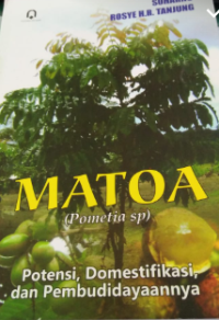 Image of Matoa