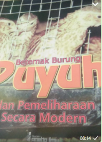 Image of Puyuh