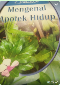 Image of Mngenal Apotek Hidup