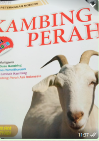 Image of Kambing Perah