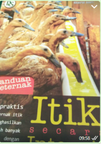 Image of Paduan Berternak Itik Secara Intensif